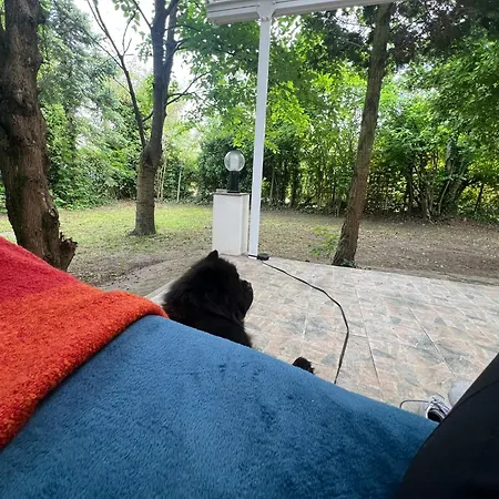 Casa vacanze Rege 32 Vendégház